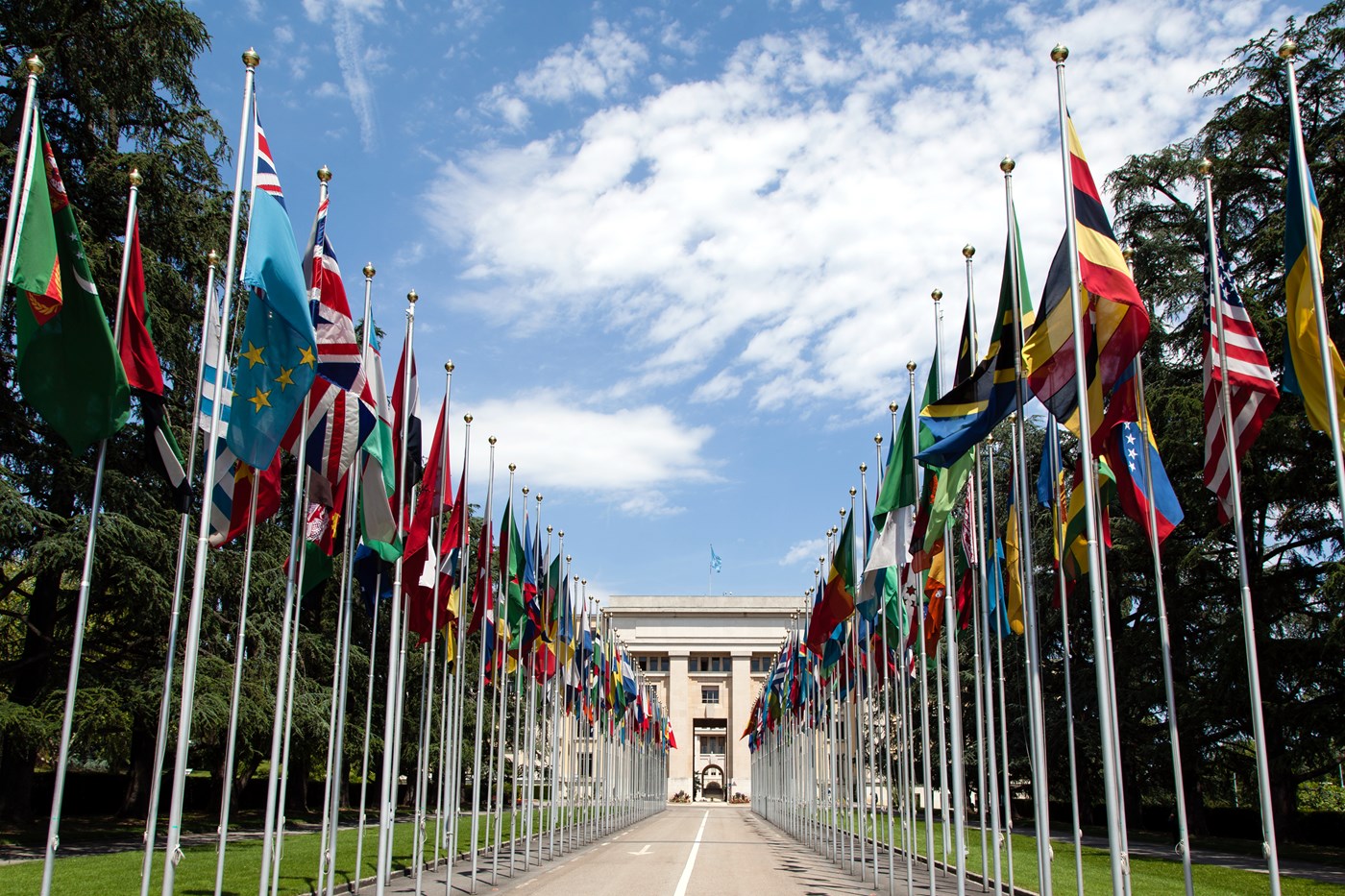 United Nations Flags Cropped Tcm18 374879.jpg
